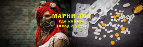 соль ск Белокуриха