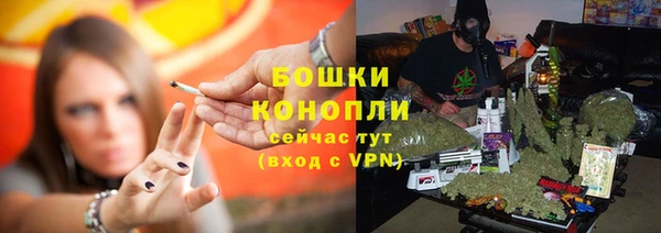 соль ск Белокуриха