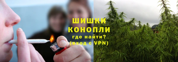 соль ск Белокуриха