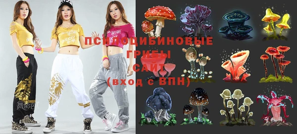 индика Богородицк